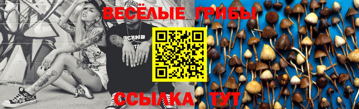 Богданович  Галлюциногенные грибы Magic Shrooms  Вход с VPN 